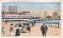 Steelpe Chase Pier Atlantic City, New Jersey Postcard