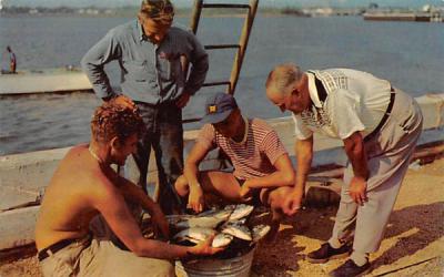 Day's catch of Blue Fish Belmar, New Jersey Postcard