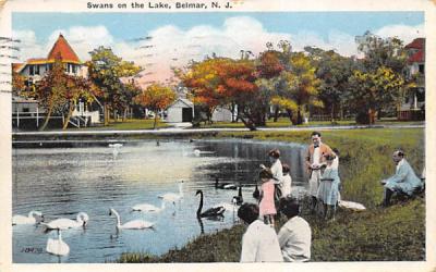 Swans on the Lake Belmar, New Jersey Postcard