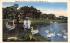 Feeding the Swans on Silver Lake Belmar, New Jersey Postcard