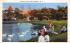 Swans on the lake Belmar, New Jersey Postcard