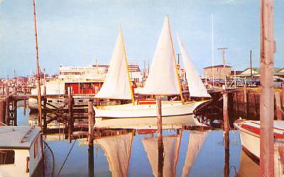 Cape May Marina New Jersey Postcard