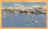 Sea Gulls at Schellengers Landing Cape May, New Jersey Postcard