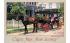 Horse Carriage Tour Cape May, New Jersey Postcard