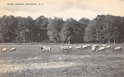 Scene Around Lafayette, N. J., USA New Jersey Postcard