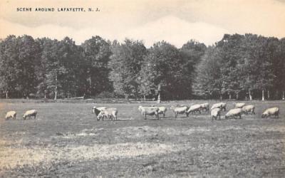 Scene Around Lafayette, N. J., USA New Jersey Postcard