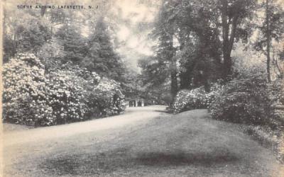 Scene Around Lafayette, New Jersey Postcard