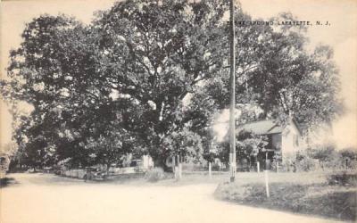 Scene Around Lafayette, New Jersey Postcard