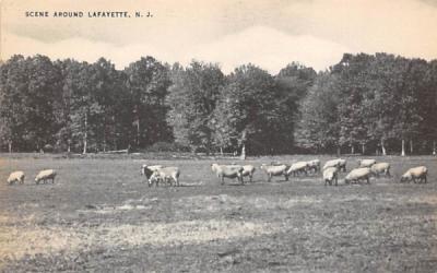 Scene Around Lafayette, New Jersey Postcard