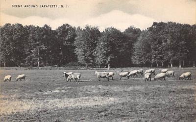 Scene Around Lafayette, New Jersey Postcard