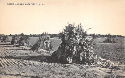 Scene Around Lafayette, New Jersey Postcard