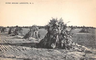 Scene Around Lafayette, New Jersey Postcard