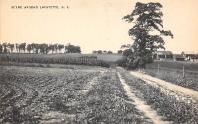 Scene Around Lafayette, New Jersey Postcard