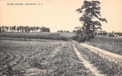 Scene Around Lafayette, New Jersey Postcard