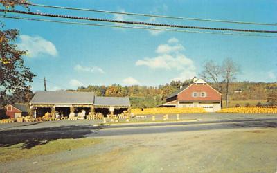 Wightman's Farm Morristown, New Jersey Postcard