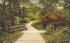 A Lovers' Lane Orange Mountain, New Jersey Postcard