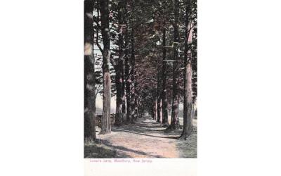 Lover's Lane Woodbury, New Jersey Postcard