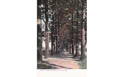 Lover's Lane Woodbury, New Jersey Postcard