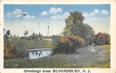 Bloomsbury NJ