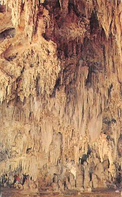 Carlsbad Caverns National Park NM