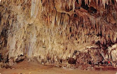 Carlsbad Caverns National Park NM