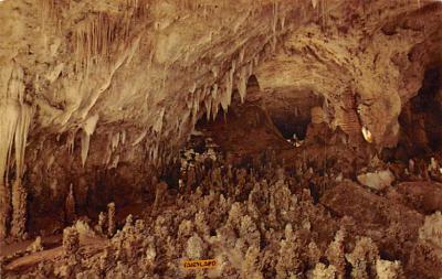 Carlsbad Caverns National Park NM