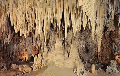 Carlsbad Caverns National Park NM