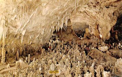 Carlsbad Caverns National Park NM