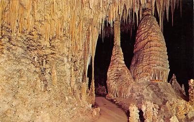 Carlsbad Caverns National Park NM