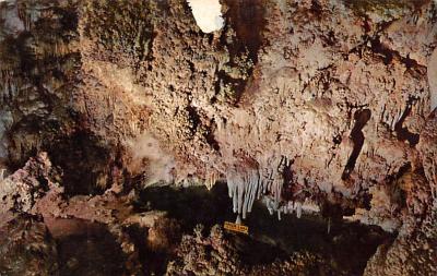 Carlsbad Caverns National Park NM