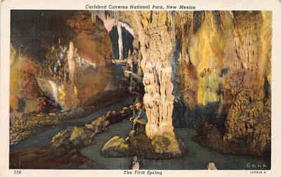 Carlsbad Caverns National Park NM