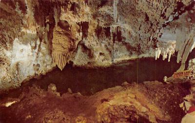 Carlsbad Caverns National Park NM