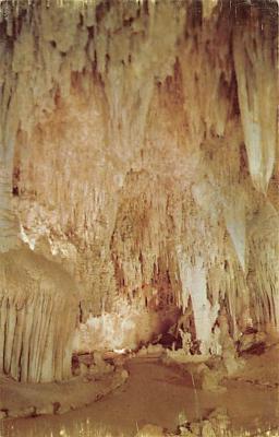 Carlsbad Caverns National Park NM