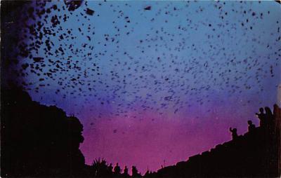 Carlsbad Caverns National Park NM