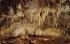 Carlsbad Caverns National Park NM