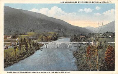 Ashokan Reservoirview towards Phoenicia Postcard