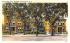 Amsterdam City Hospital New York Postcard