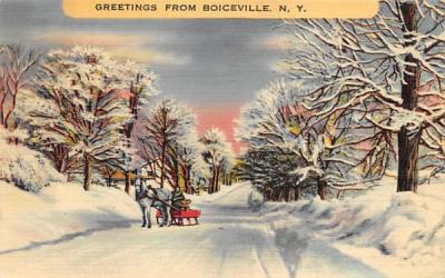 Greetings from  Boiceville, New York Postcard