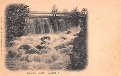 Swartout Falls Congers, New York Postcard