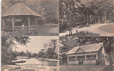 Forest Park Views Camden, New York Postcard