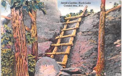 Jacob's Ladder Catskill Mountains, New York Postcard