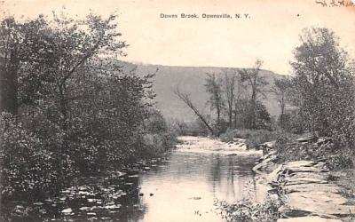 Downs Brook Downsville, New York Postcard