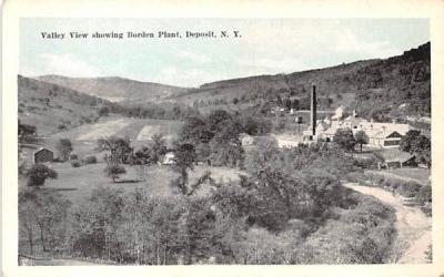 Valley View Deposit, New York Postcard