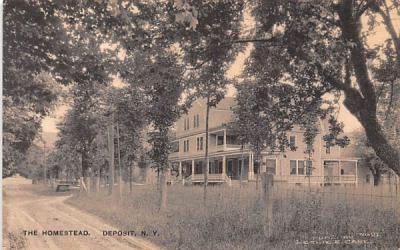 The Homestead Deposit, New York Postcard