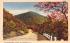 Caird's Cabin Town Delanson, New York Postcard