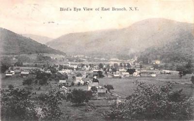 Bird's Eye View East Branch, New York Postcard