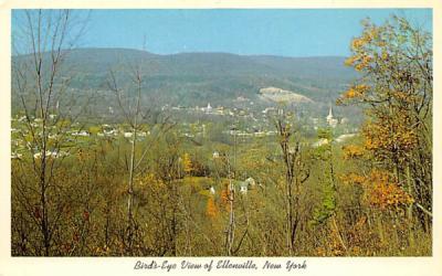 View of Ellenville, New York Postcard