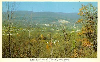 View Of Ellenville, New York Postcard