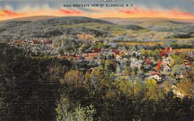 View of Ellenville, New York Postcard