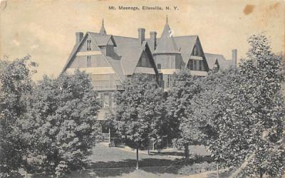 Mt Meenaga Ellenville, New York Postcard